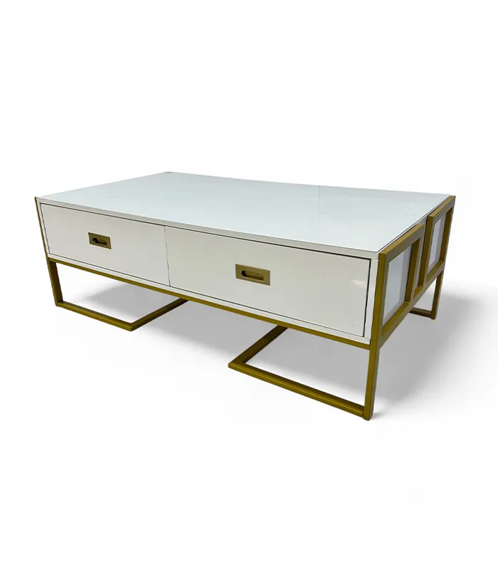 COFFEE TABLE (1309)